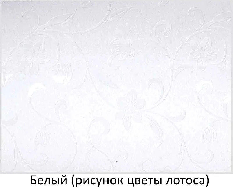   11070 HPL 