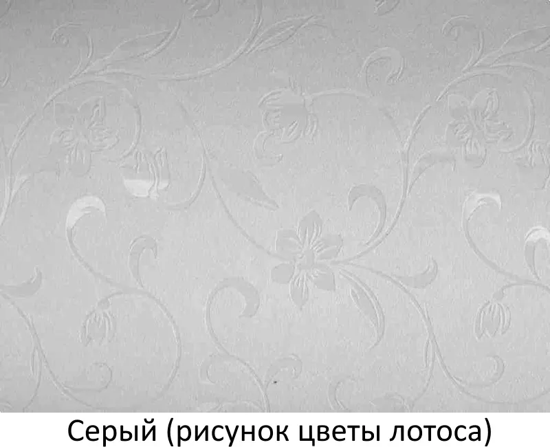   11070 HPL 
